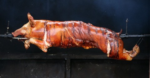 Cochon de lait