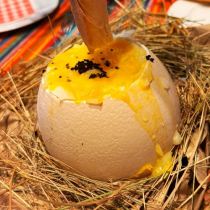 Gros Oeuf d'autruche frais 