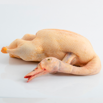Canard gras du Sud-Ouest entier sans foie gras