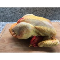 Poulet Jaune des Landes - plein air- 2 kg